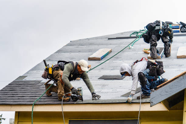 Professional Roofing technician working in Webster, NY